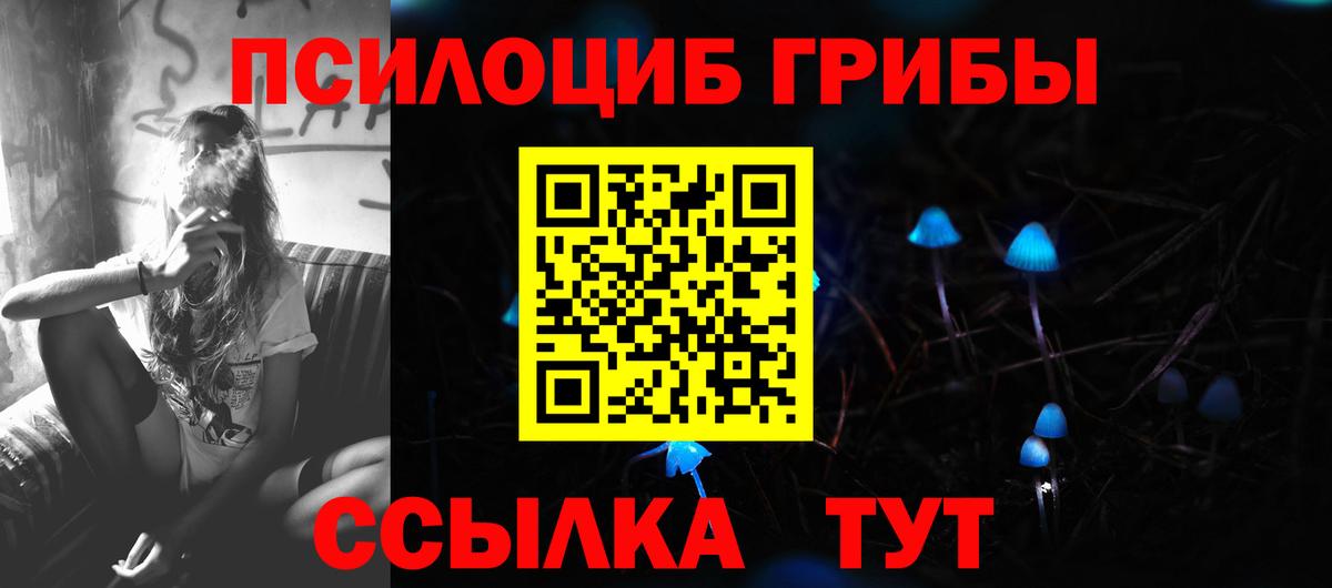 Светлоград  Псилоцибиновые грибы мухоморы  Псилоцибиновые грибы мицелий  сколько стоит  Вход с VPN 